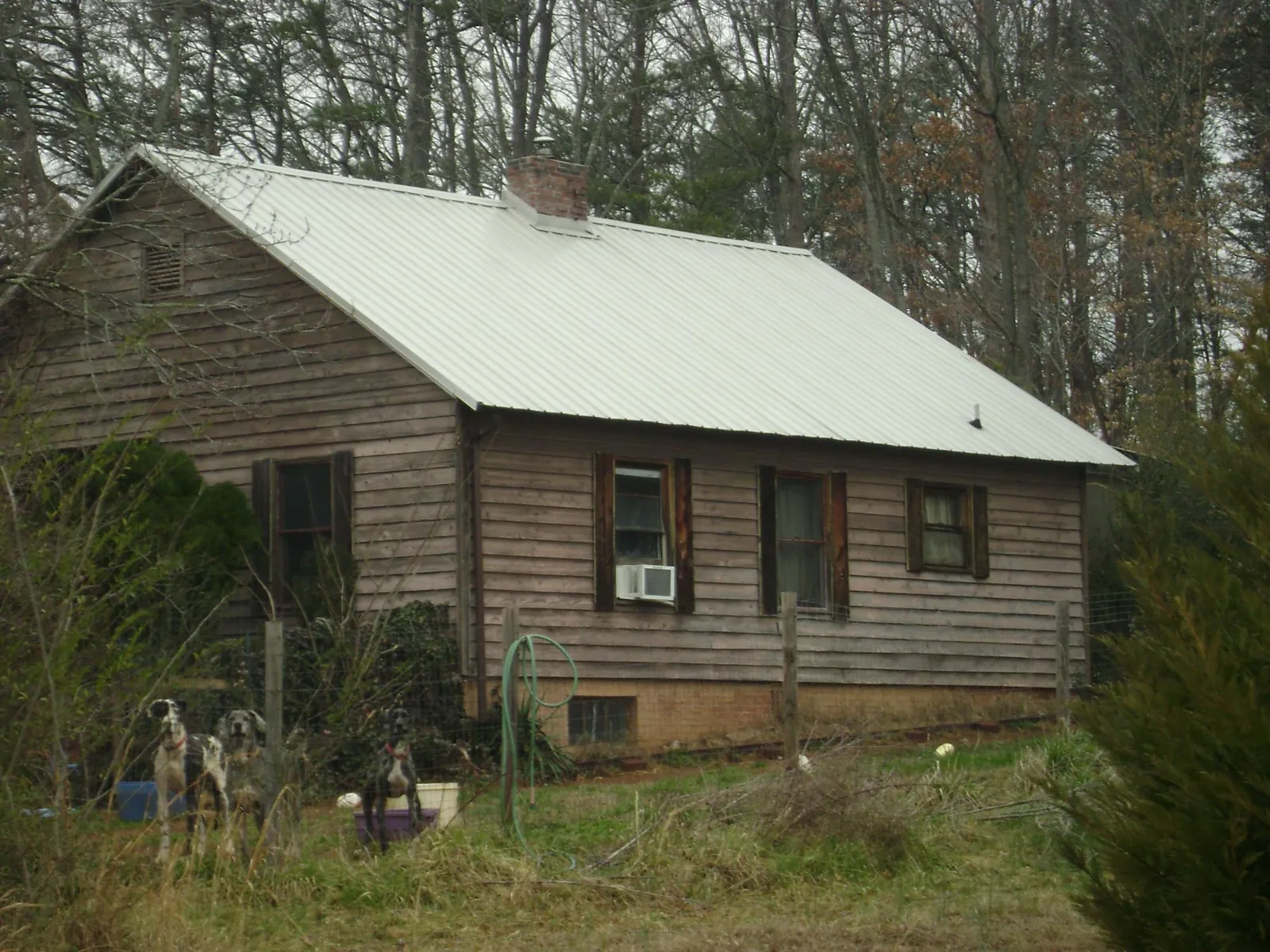 White metal roof on an old wood sided farmhouse, from a Asphalt Shingle Roof Repair job in East Moriches